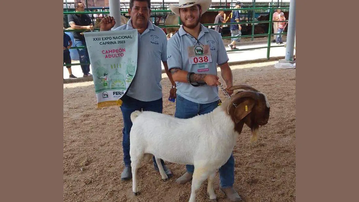 Plantilla - 2023-08-26T134409.026