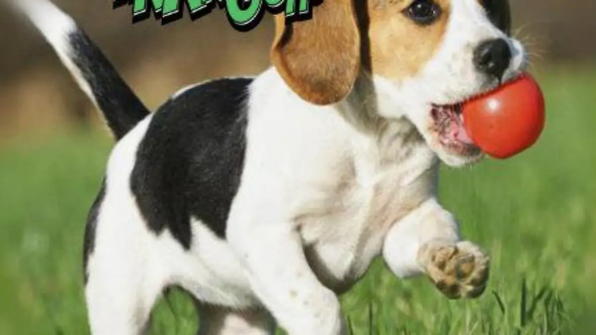 27384bd7-d91d-4bbc-89c5-67d1596aca34