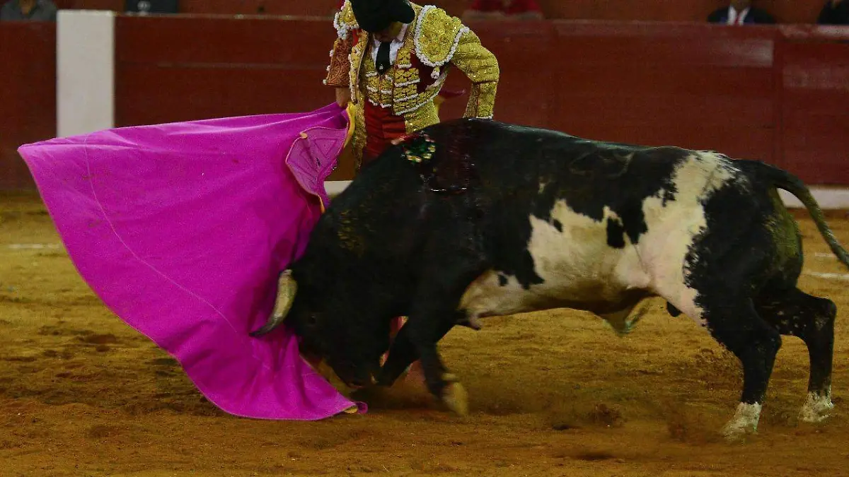 Toros