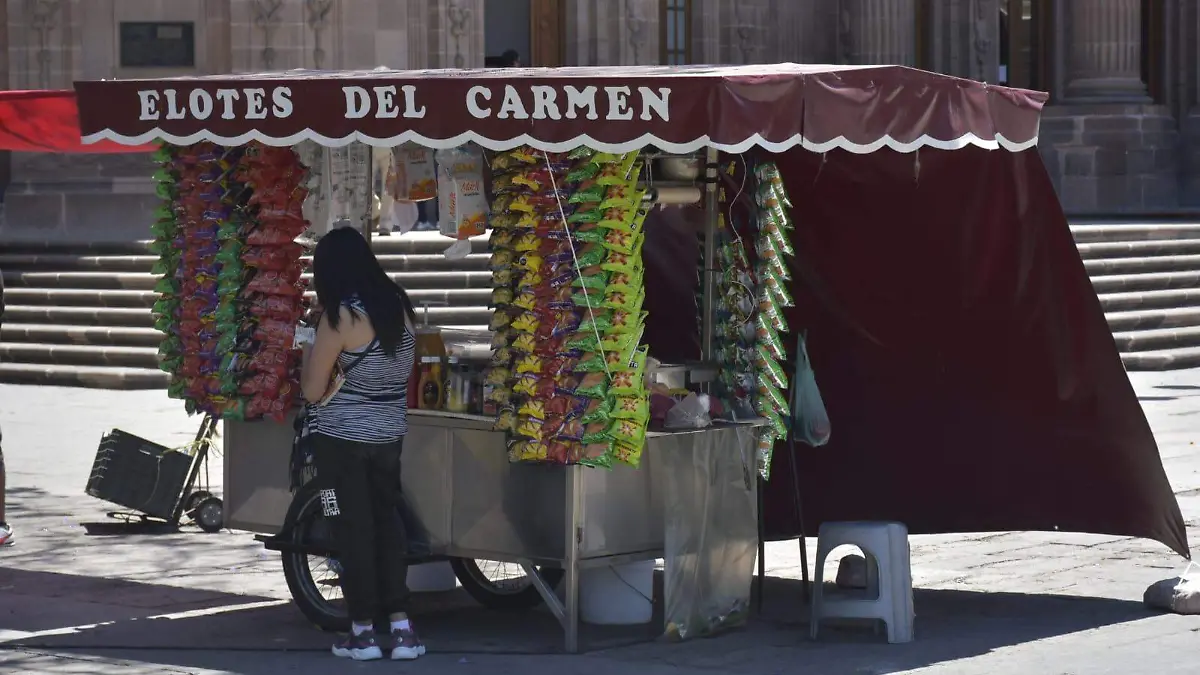 ordenar al comercio informal 2