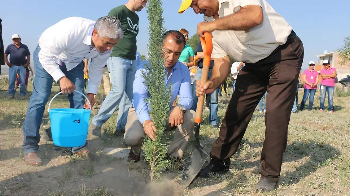 Inician reforestación de nuevo pulmón para la ciudad