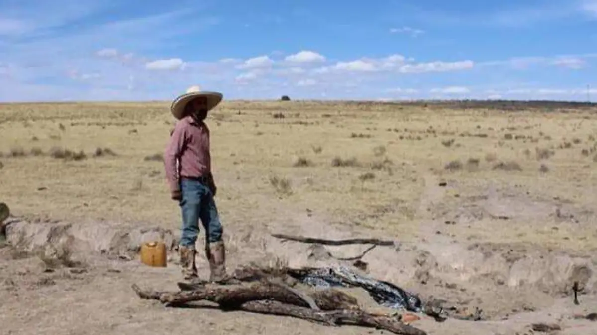 campo 4