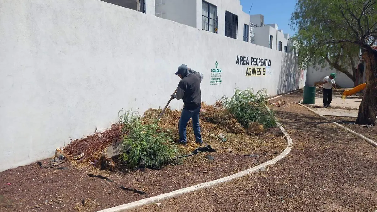Continúan las acciones de bacheo en colonias de Soledad