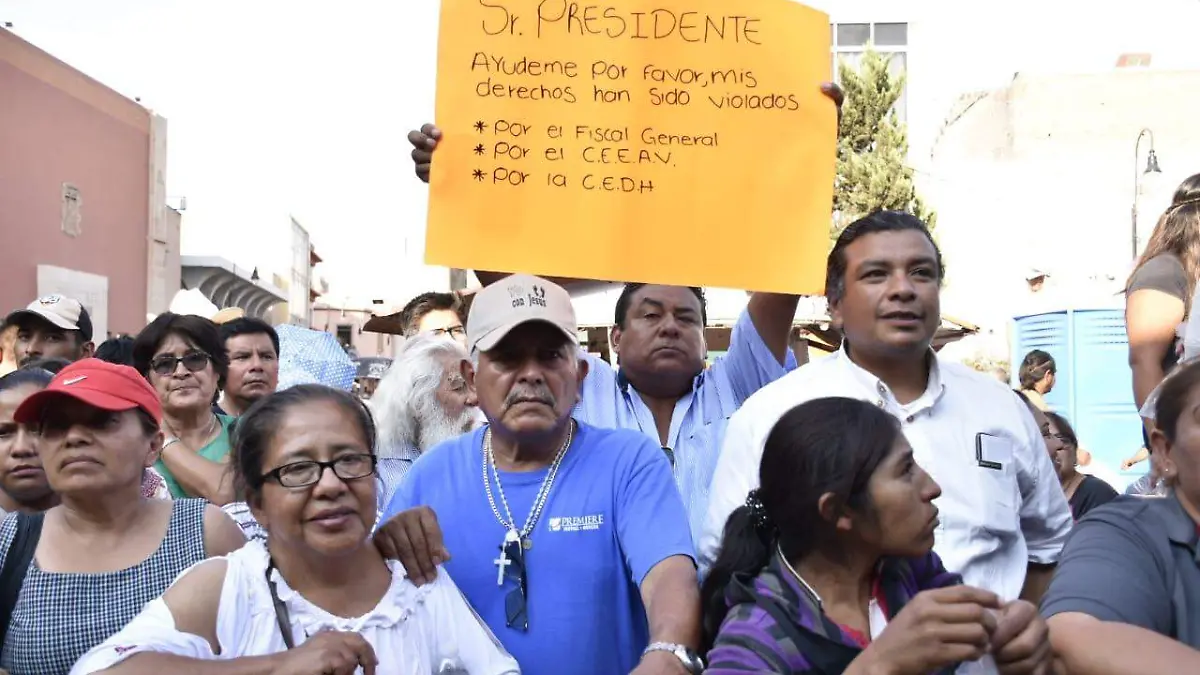 AMLO 6