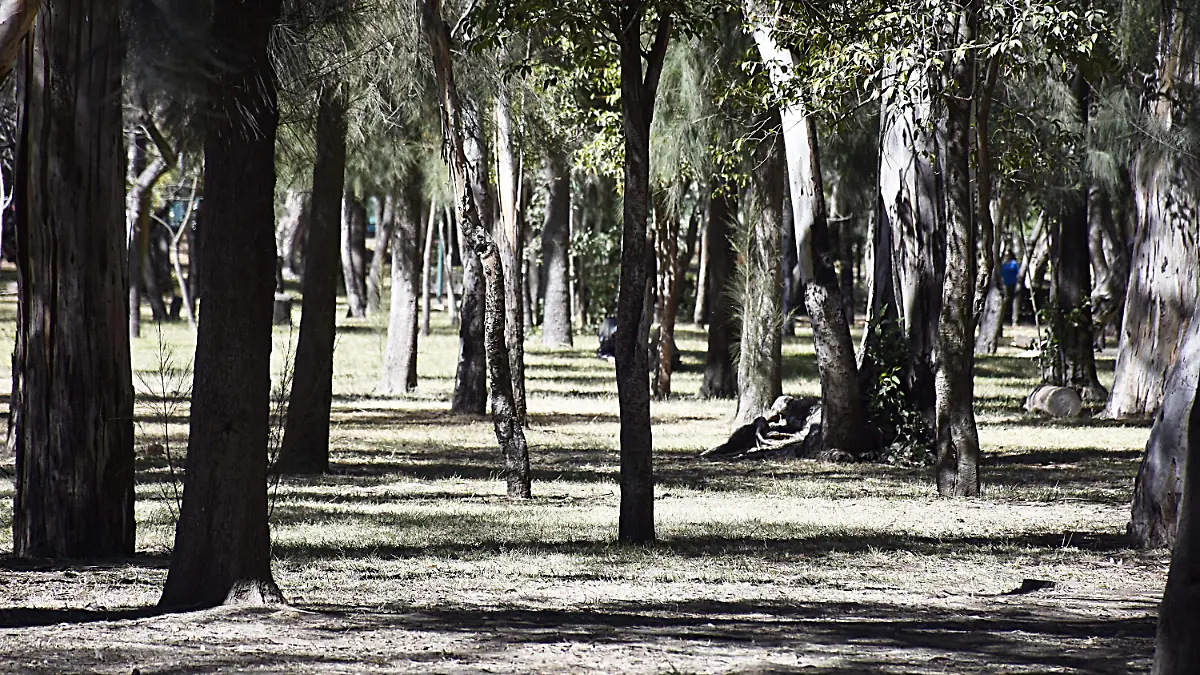 parque morales3