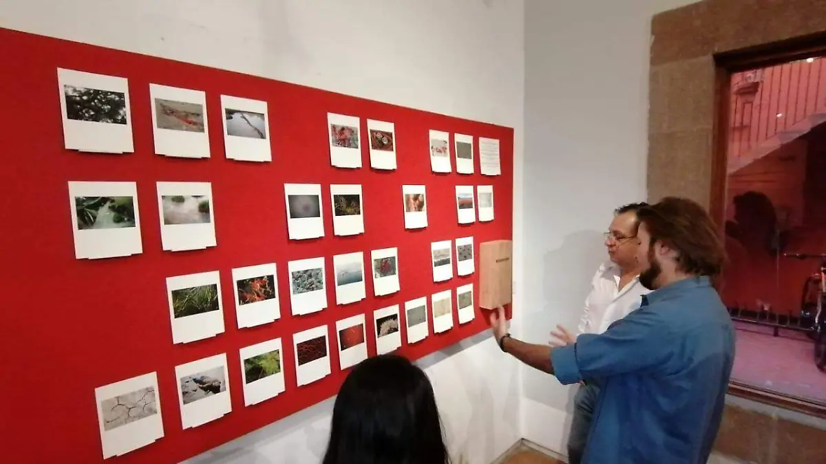 SECULT Exposición 150710 (3)