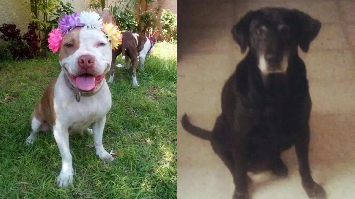 0bf26f07-e2a8-486d-b954-810b6028571a