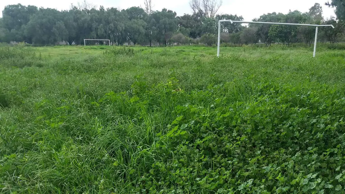 Cancha de maleza de futbol