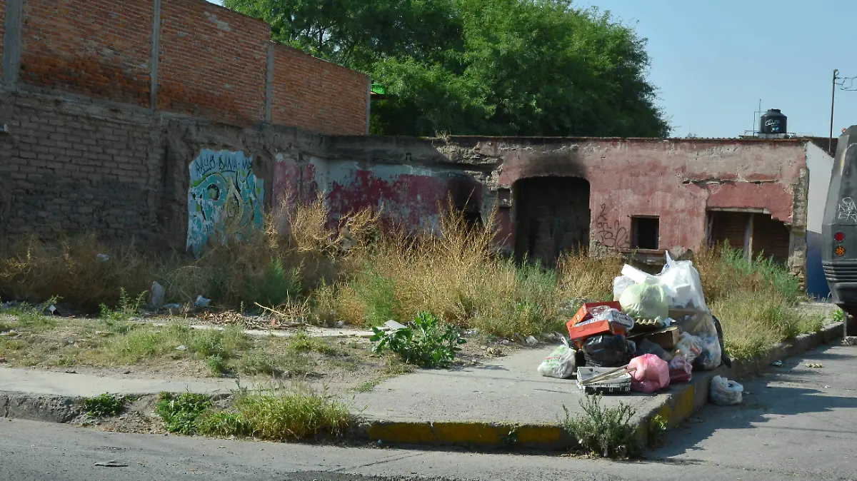 LOTE BALDIO 