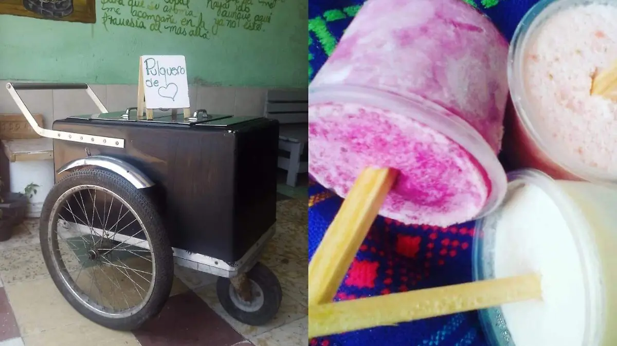 pulque y paletas (16)