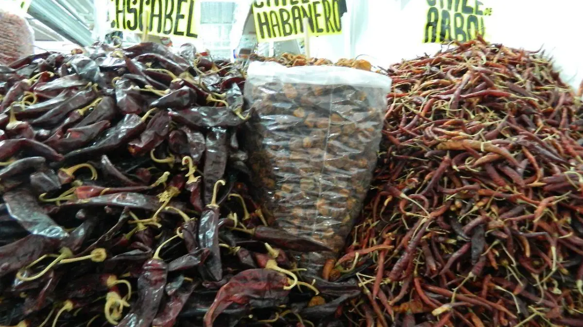 90 diferentes tipos de chile chiles