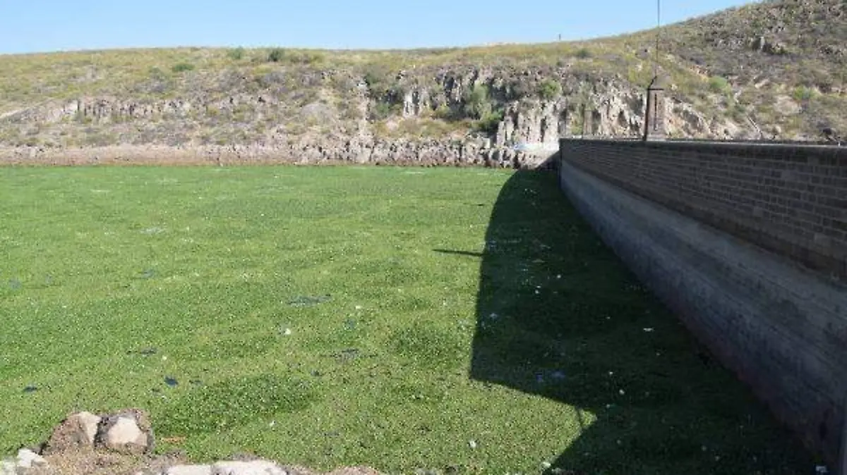 presa-de-san-jose-invadida-de-lirio-(2)_20180823160007