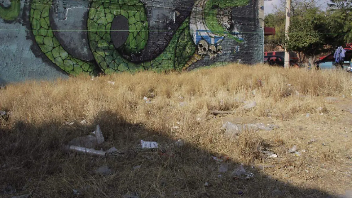 Baldíos Terrenos Basura  