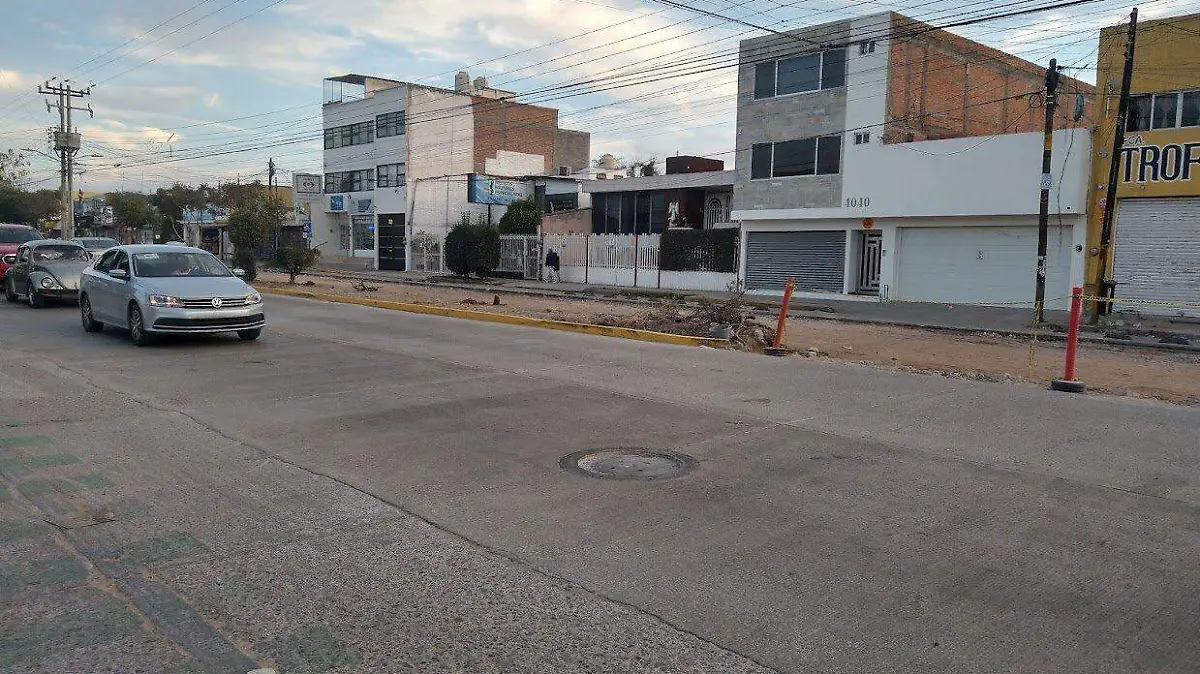 arboles cortados de himno