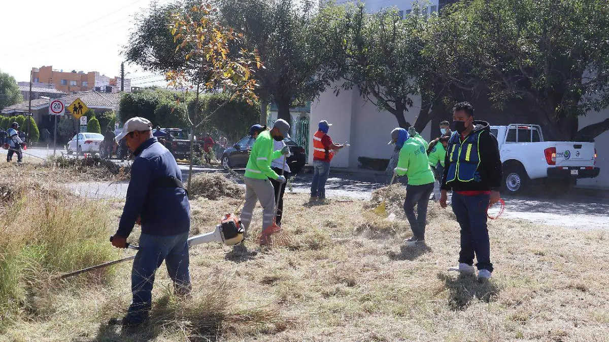 domingo de pilas (7)