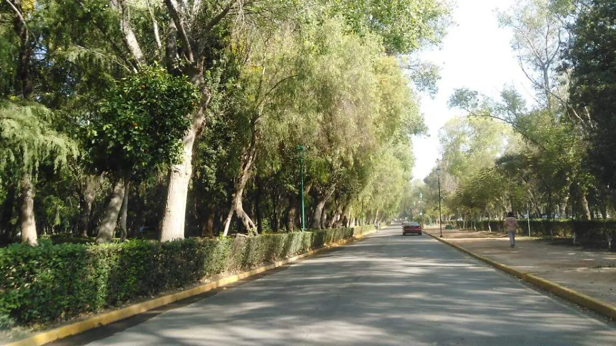 parque tangamanga