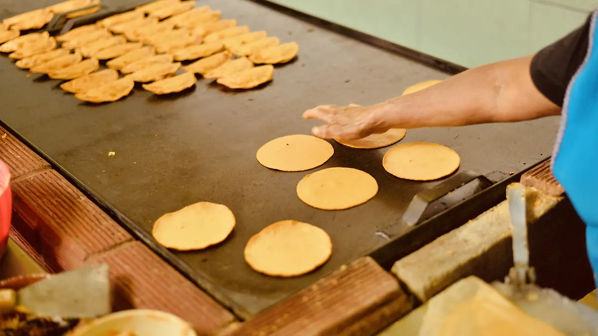 enchilada enchiladas potosinas comida tipica tradicional potosina 