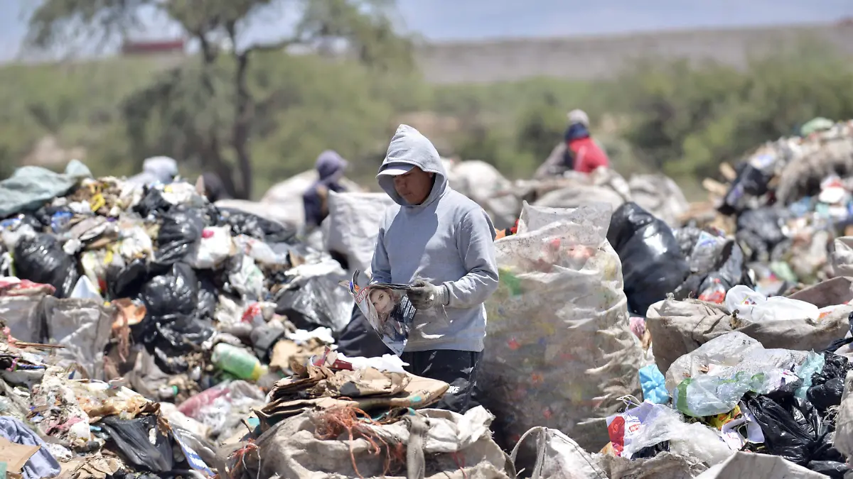 6 basurero basura tiradero