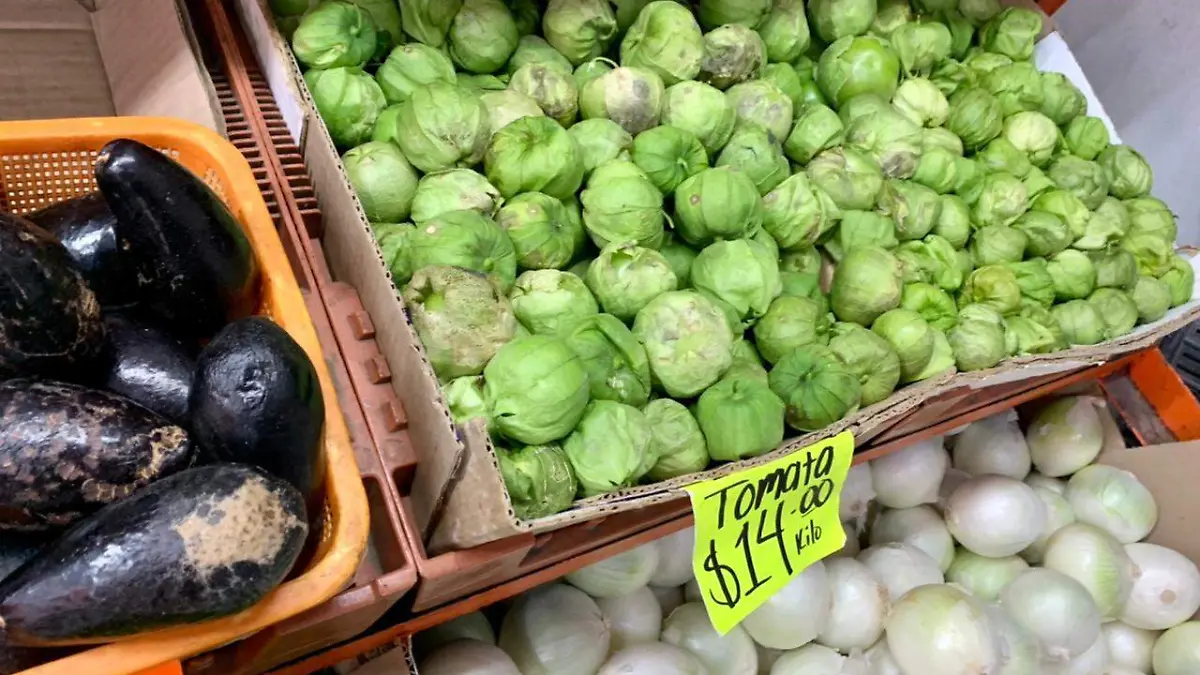 CANASYTA BÁSICA (2)