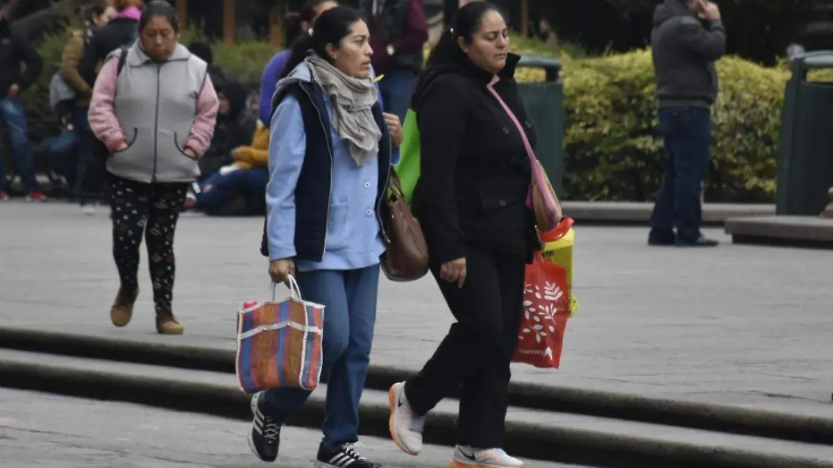 Bolsas de plástico (6)