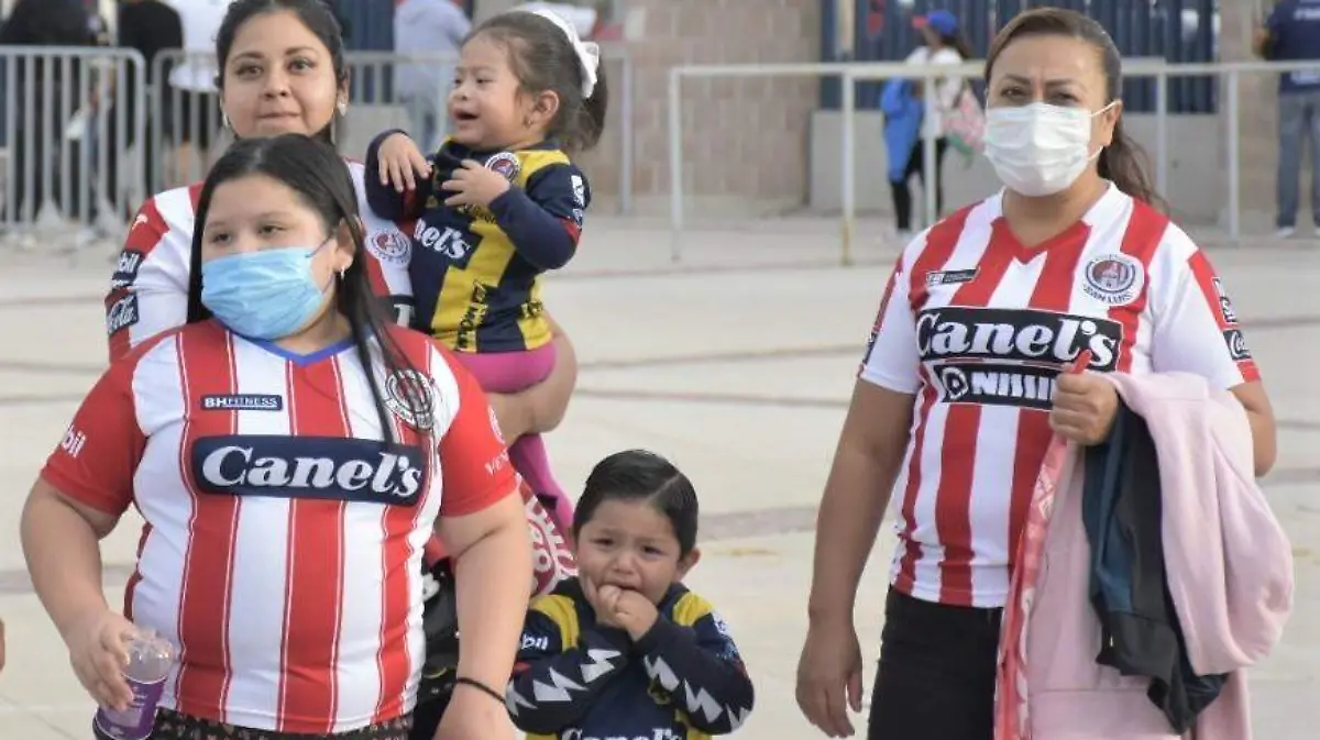 fb5b6613-f0be-4620-b768-0a982154e0bd