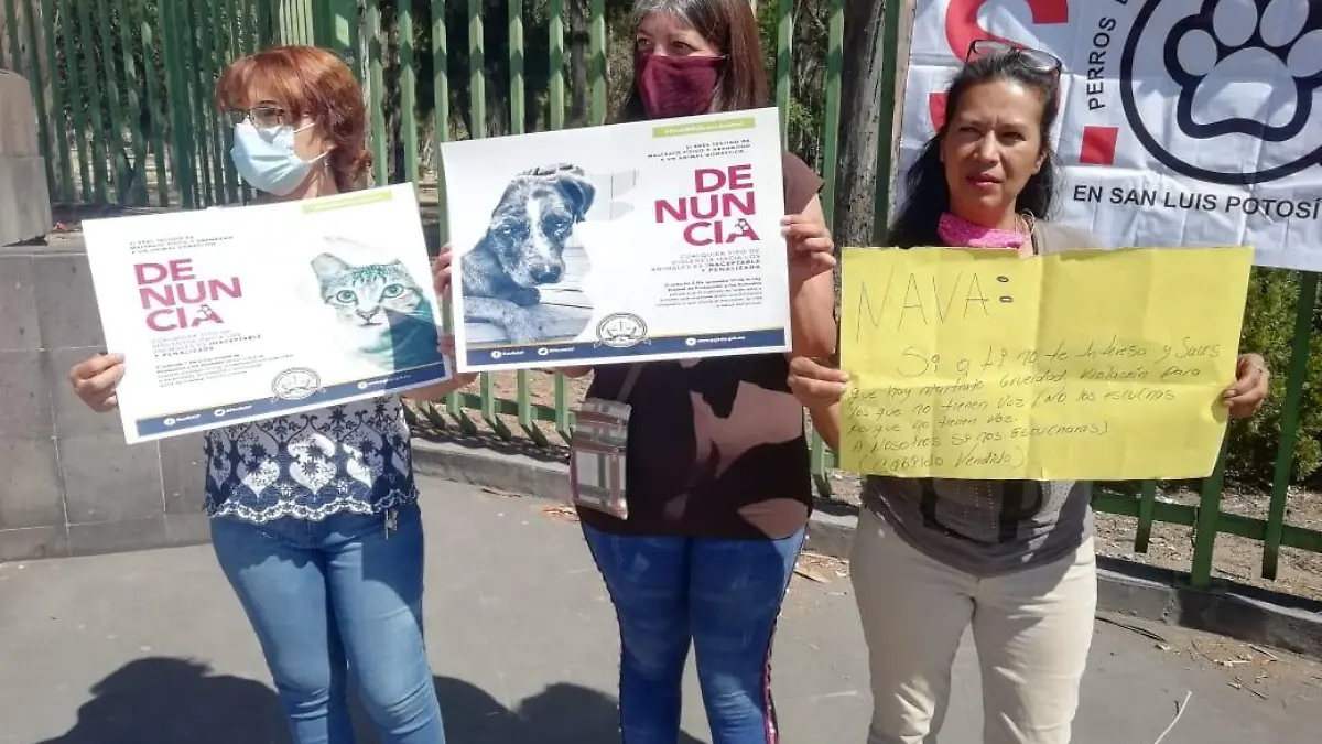 Protectores de animales se reunieron en la glorieta 1