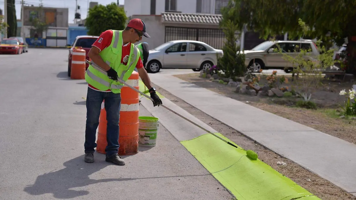 Martes ciudadana (3)