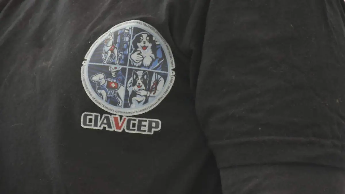 binomios caninos (1)