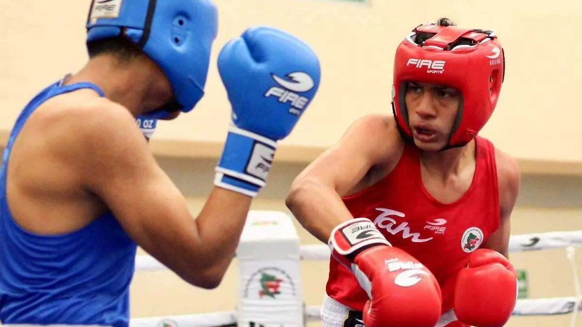 6dde56c2-164d-4430-97ce-326ee982f849