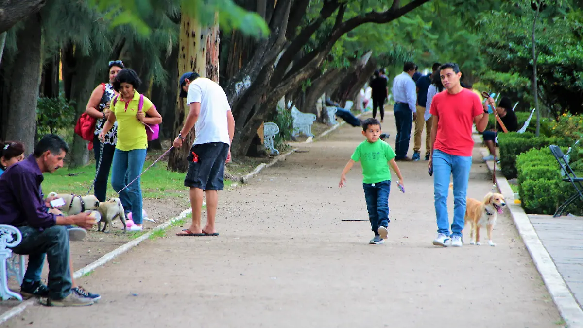 PASEANTES EN PARQUES DE LA CIUDAD CON SUS PERROS, NO RECOGEN SUCIEDADES DE SUS MASCOTAS.
