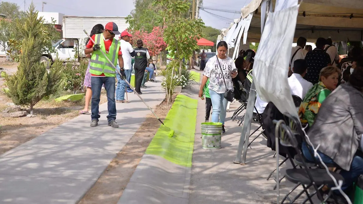 Martes ciudadana (4)