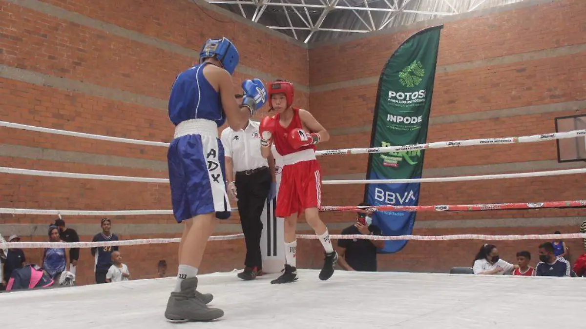 4fd0447d-fcf1-45e6-aba8-0e0a0588f660