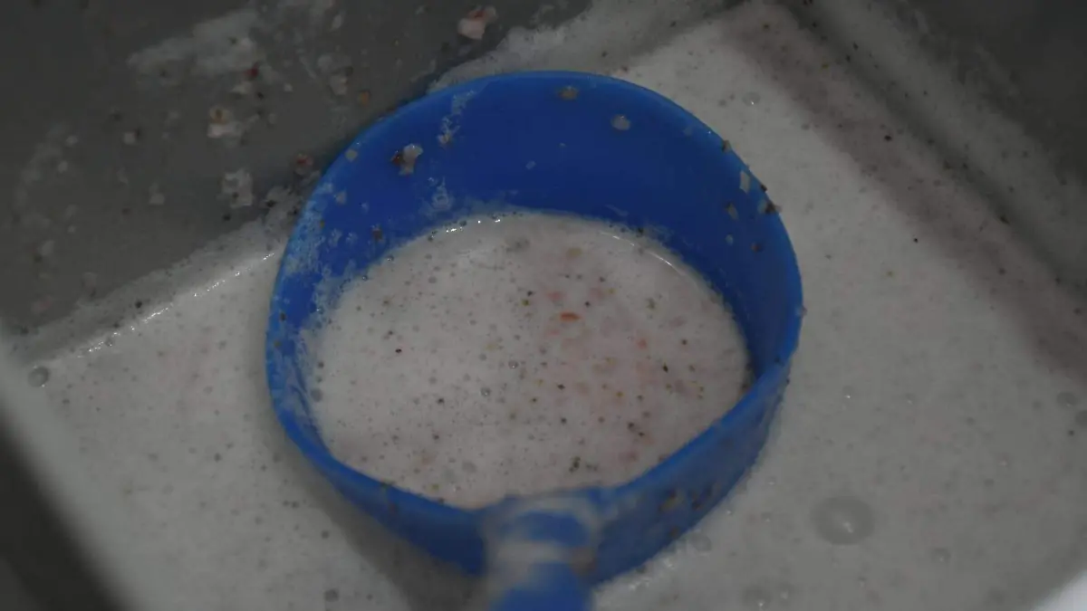 pulque y paletas  (9)