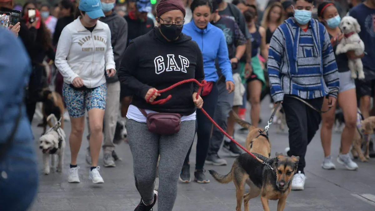 Gran asistencia carrera (22)