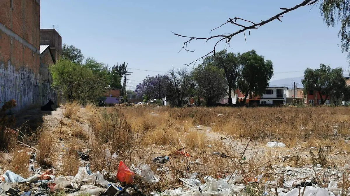 lotes baldíos basura incendios 