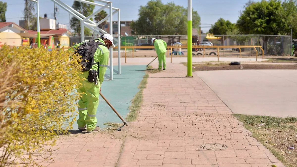 martes ciudadano (3)