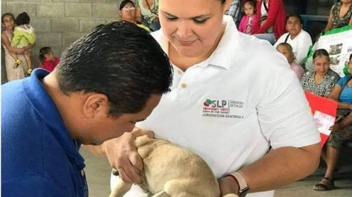 con vacunacion antirrabica