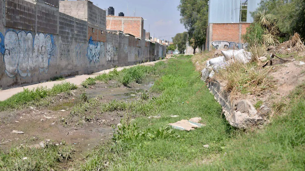 Limpieza del canal Col. Fco Villa SGS (6)