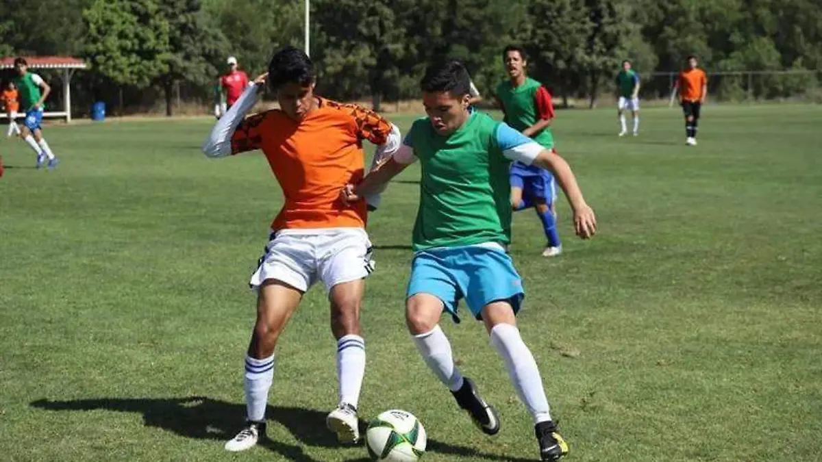 visorias del Club América