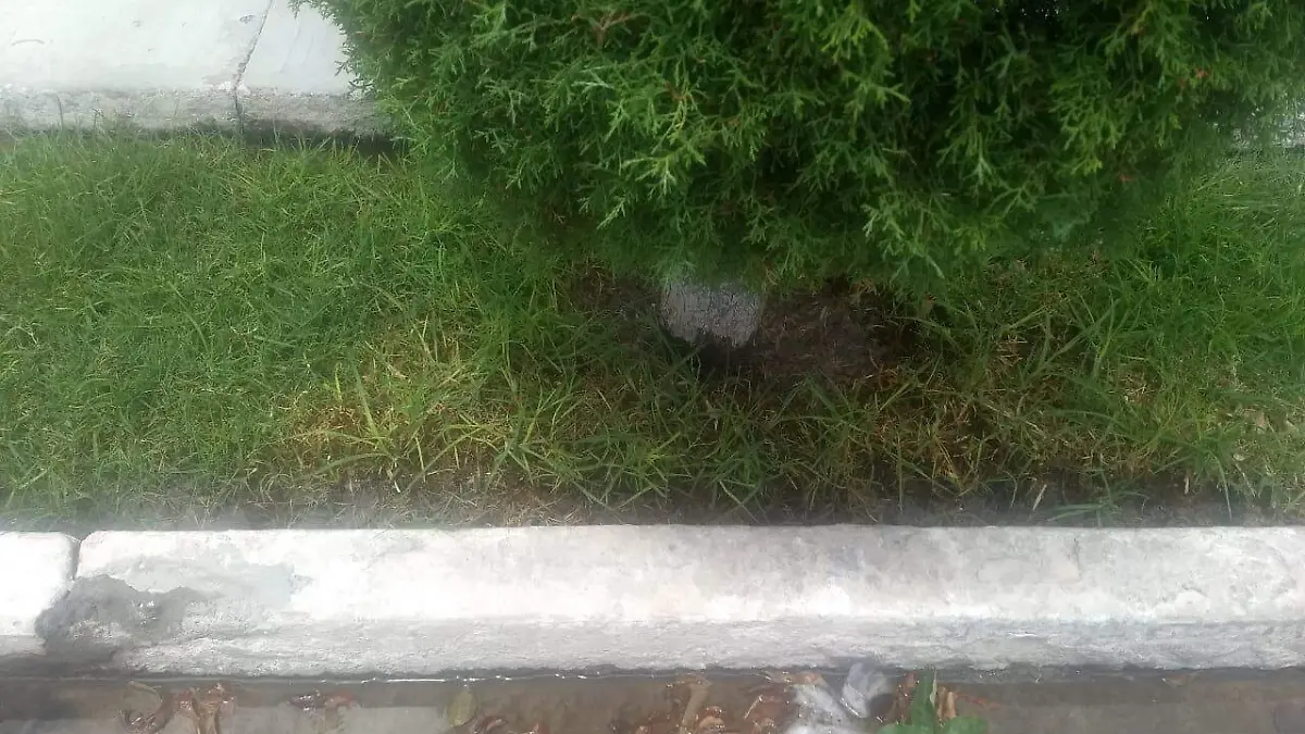 7a877ae1-4590-4a64-bb7e-50afd238b9ad