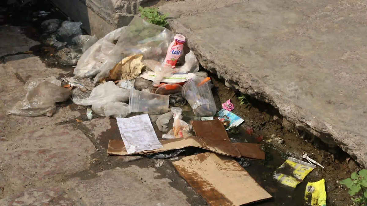 Basura en calles de SLP (6)