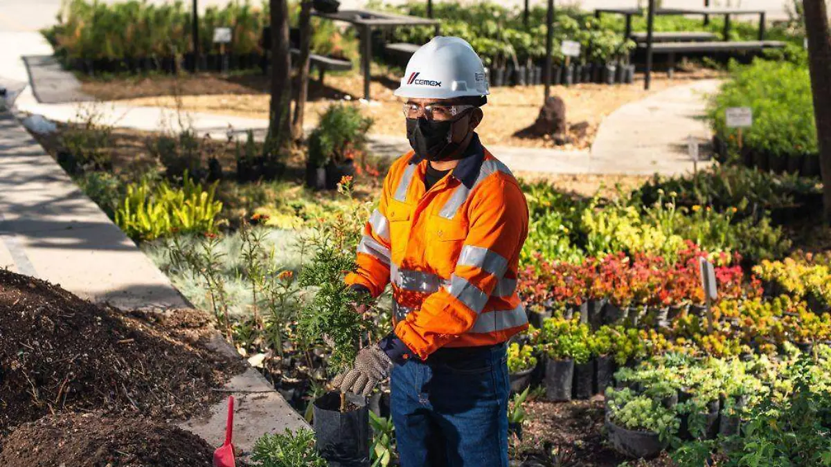CEMEX realiza acciones comunitarias en pro del Medio Ambiente