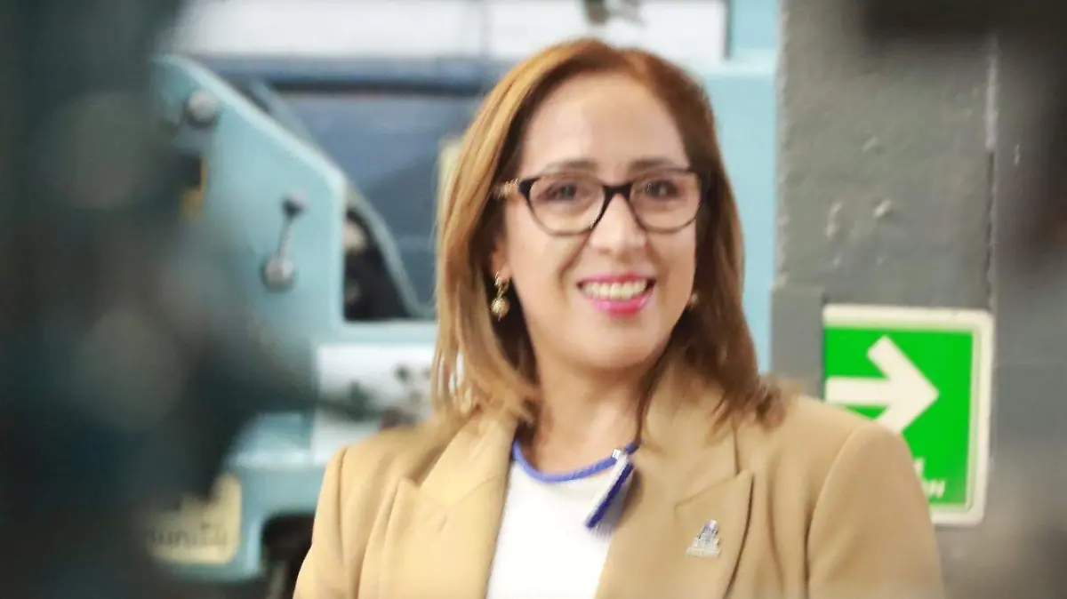 diputada Liliana Flores Almazán (6)