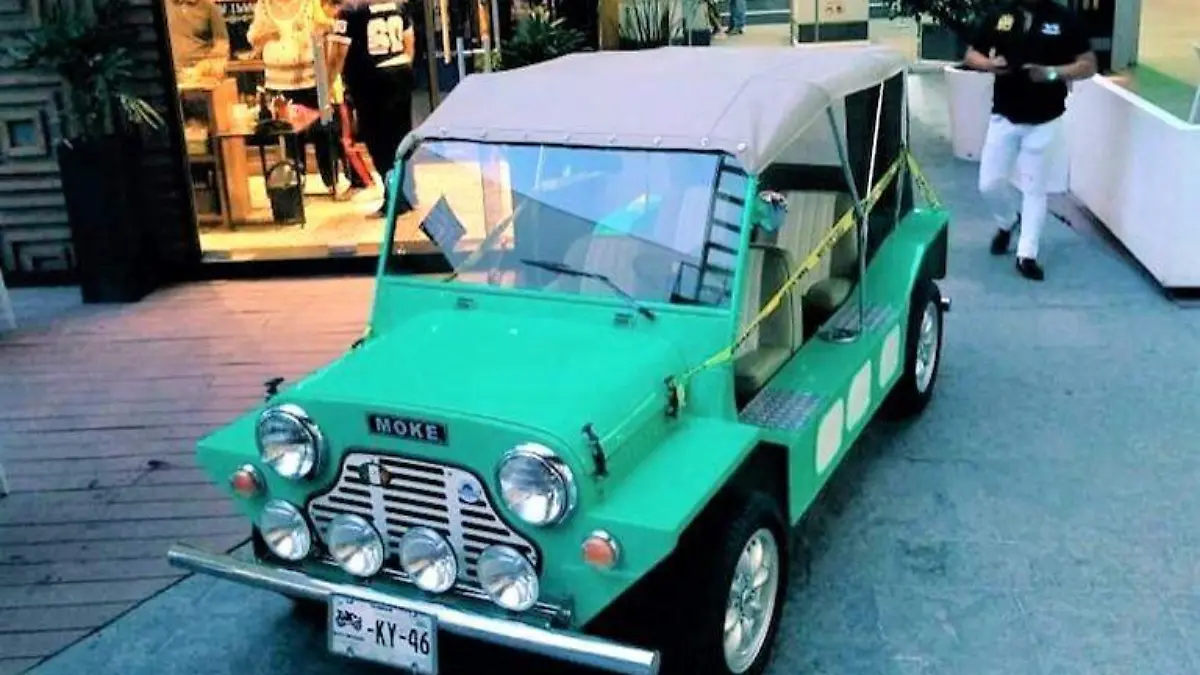 Mini Asociados México