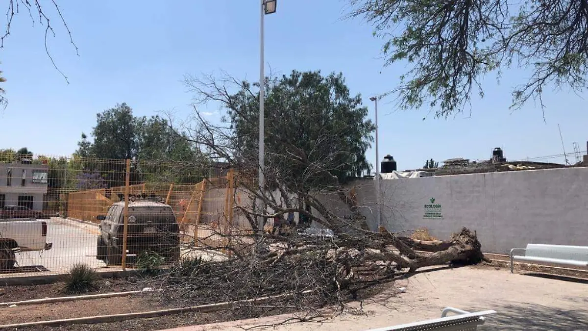Continúan las acciones de bacheo en colonias de Soledad