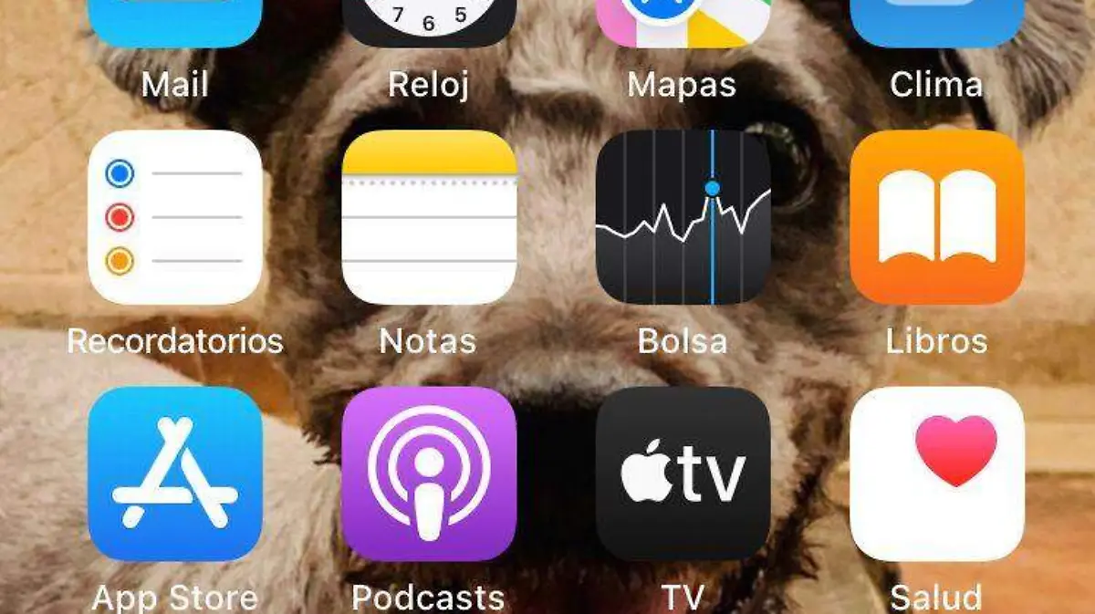 73d2d2c1-5e5f-4687-9ee2-69d52cf86a24