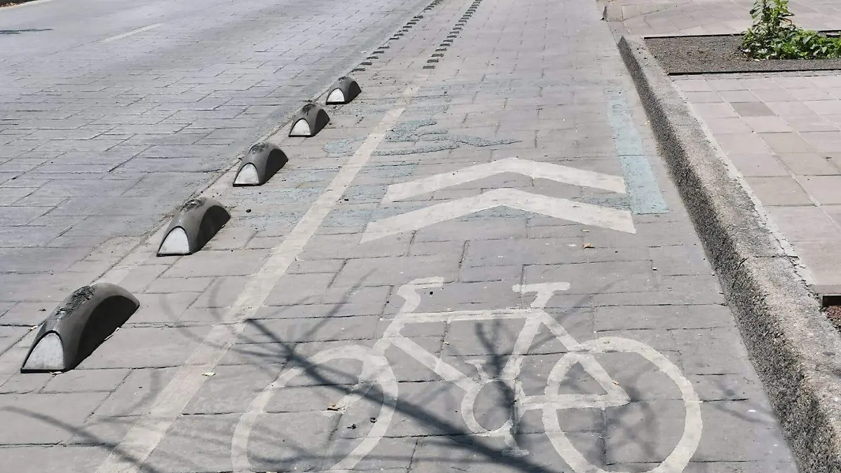 Ciclovía (4)