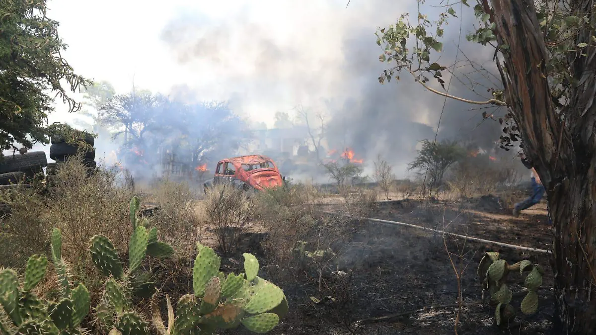 e147271d-a00c-4ec1-84ca-1dda8b565938