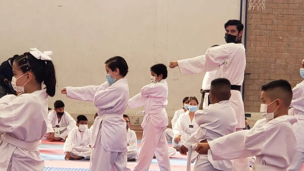 karate 1