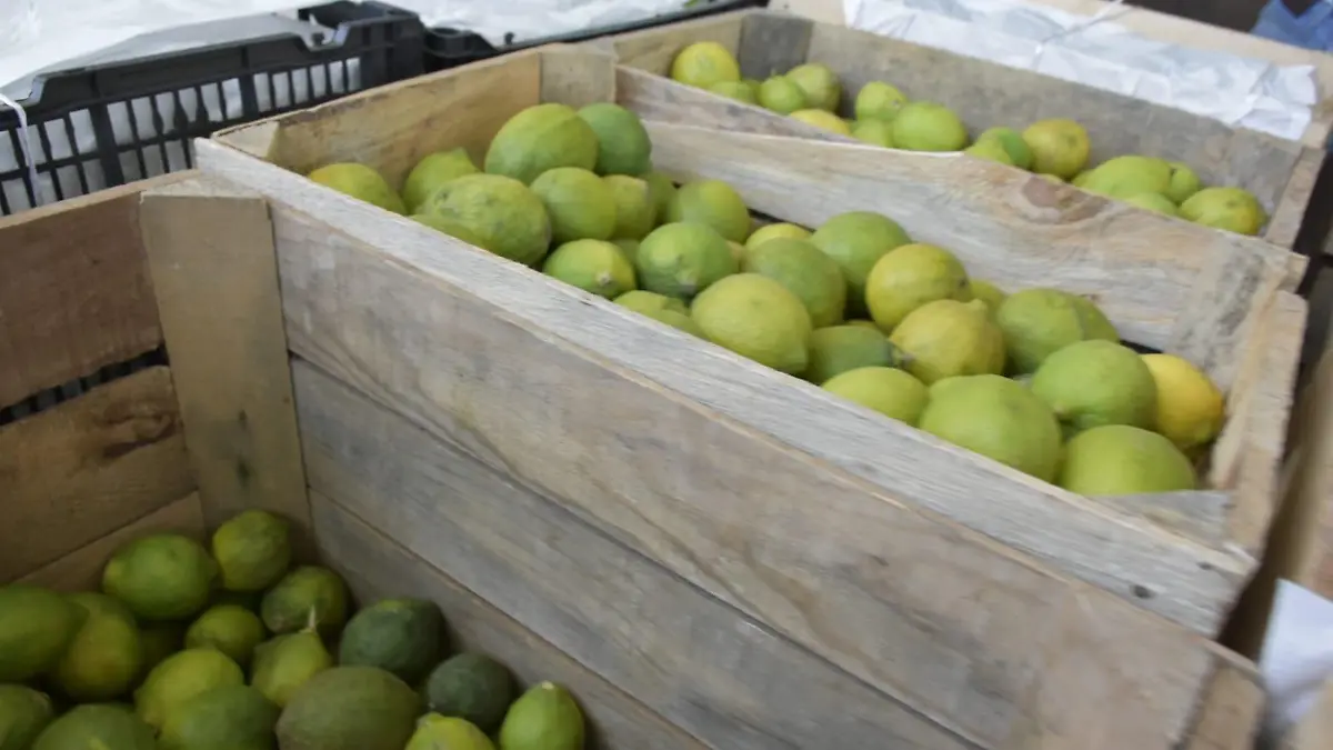 limon limón limones limonada 2